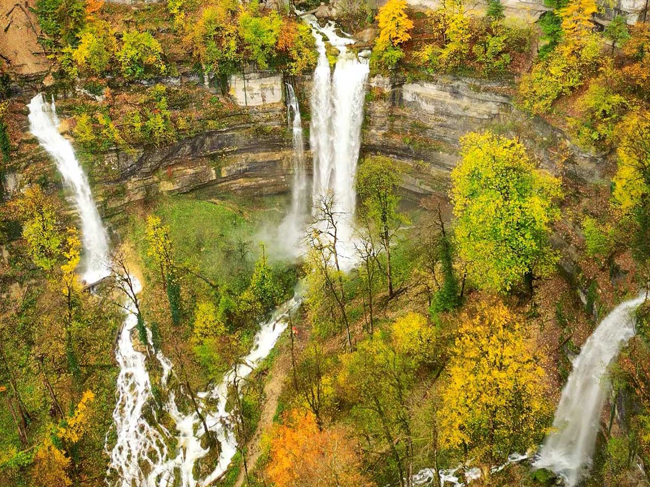 Forêt du Haut-Doubs